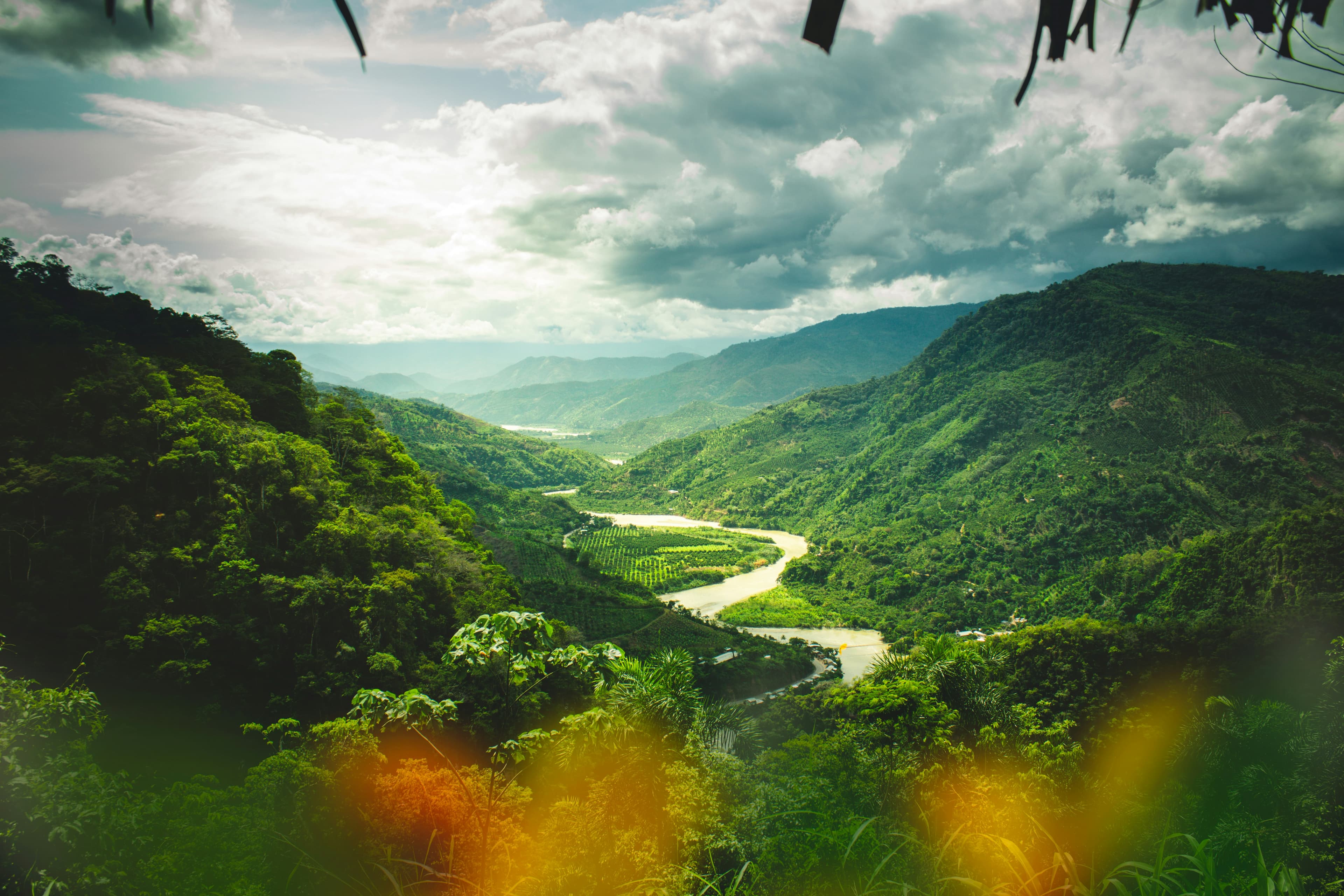 Aerial view of green landscape